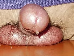 মাই এর হিন্দি গান সেক্স ভিডিও অপেশাদার পুরানো-বালিকা বন্ধু)