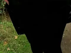 উচ্চ হিন্দি মুভি সেক্স ভিডিও নিকলে, যম আসন এবং চালু, সাজান নিকলে সাহায্য (2014)